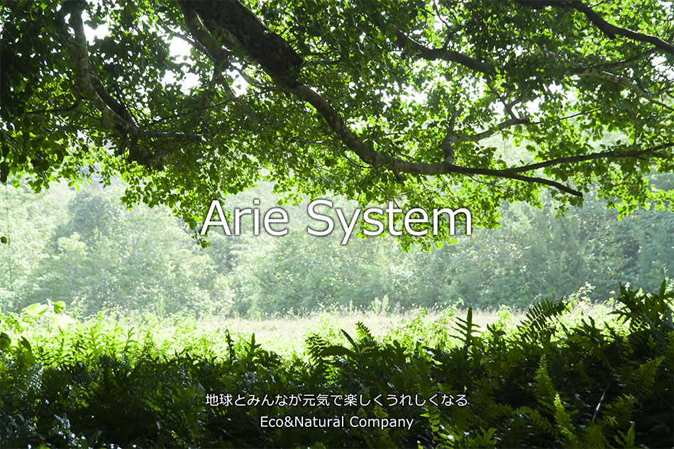 アリエシステム